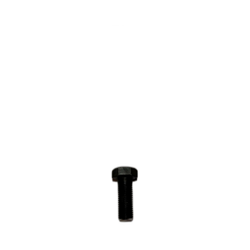 BOLT HEX HD STEEL 20 X 55 GDE 8.8 BS3692