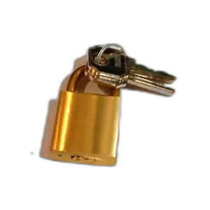 PADLOCK FOR DEPOT PROTECTION.