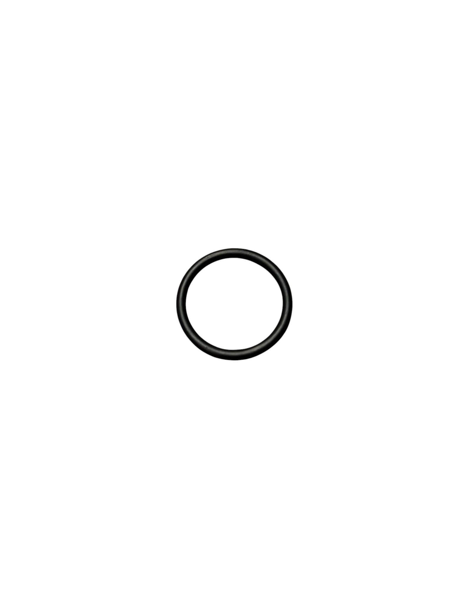 RING INPUT FILTER.