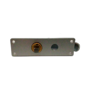 HANDLE WITH ESCUTCHEON PLATE
