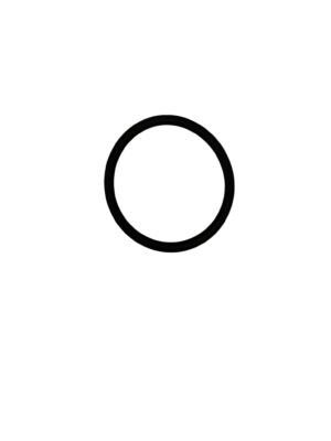 RING 'O'  CONTROL VALVE