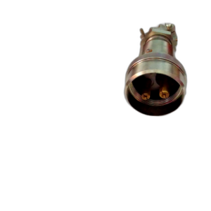PLUG PORTABLE 100A 2P