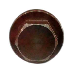 PLUG MAGNETIC FILTER.