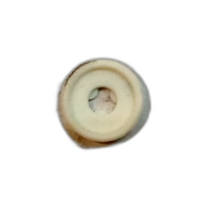 CAP SNAP END TRIM BCU5995