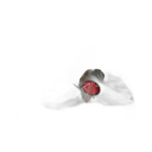 ACTUATOR P/BTTN SWITCH RED