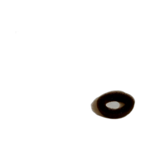 FILTER EP VALVE