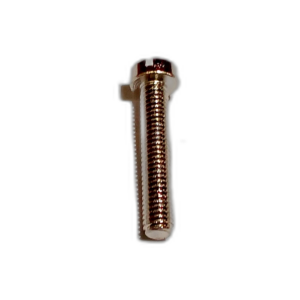 SCREW CH HD 1"X 2BA BRASS