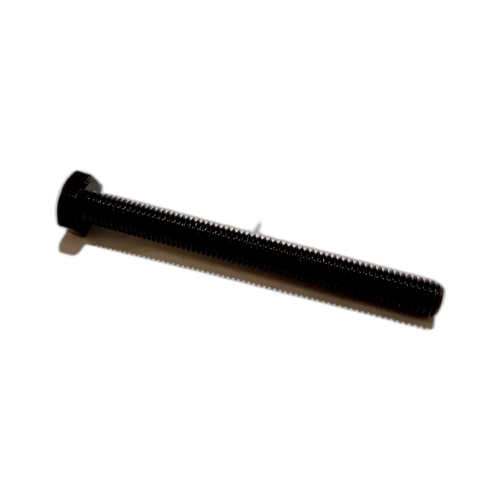 SCREW 10MM X100MM HEX HD PRC