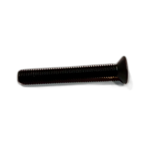 SCREW, GDE 12.9, EZP 8 X 60