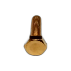 SCREW HEX HD 10 X 40