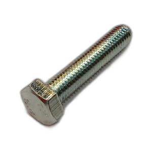 SCREW 10 X 50