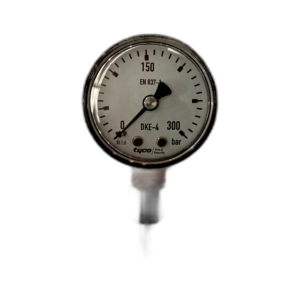 GAUGE STANDARD TEST