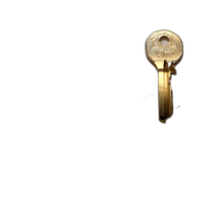 VIRO 4116 KEY K00011MA