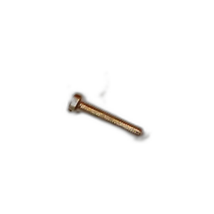 SCREW CHEESE HEAD NIPT BRASS SLOT M5X25