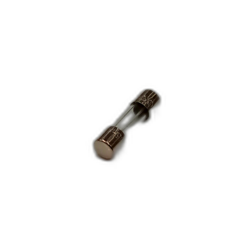 FUSE T-LBC 5X20MM 315MA