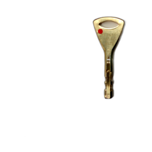 ABLOY PROTEC KEY (18187)