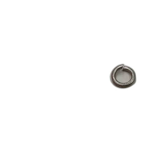 M10 SPRING WASHER GALV
