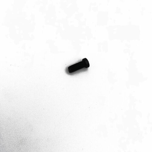 SCREW FOR BUSHING HEAD