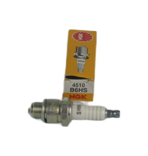 SPARK PLUG B6HS, NGK
