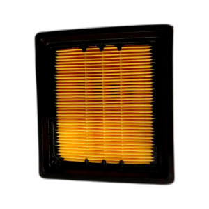 AIR FILTER ASSY