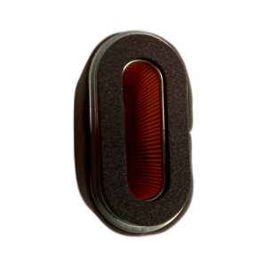 ENGINE AIR CLEANER, HONDA
