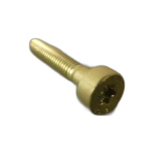 SPLINE SCREW IS-M5 X 25