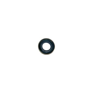 MASTER 35 LARGE CRANK SEAL