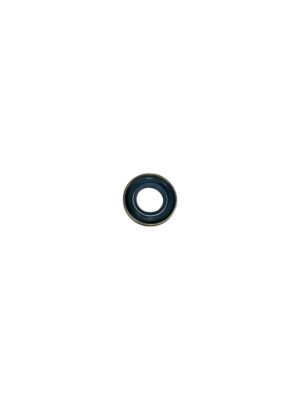 MASTER 35 LARGE CRANK SEAL