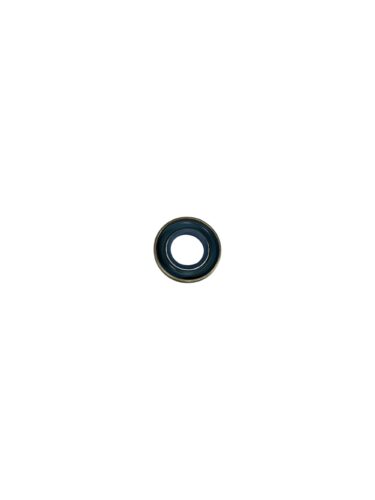 MASTER 35 LARGE CRANK SEAL