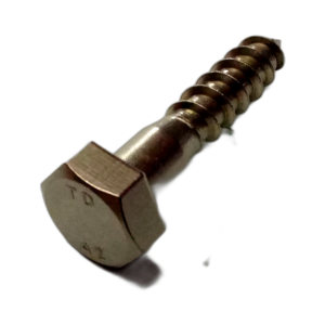 M10 x 50mm LG Coach Screw, SS
