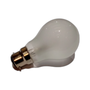 LAMP 110V 60W B22 GLS VACUUM