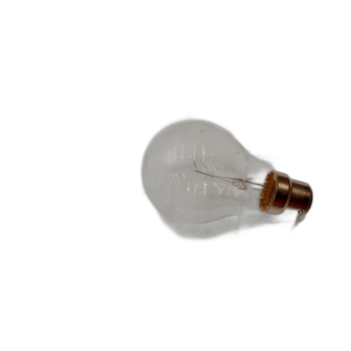 LAMP 110/130V 25W BC GLS
