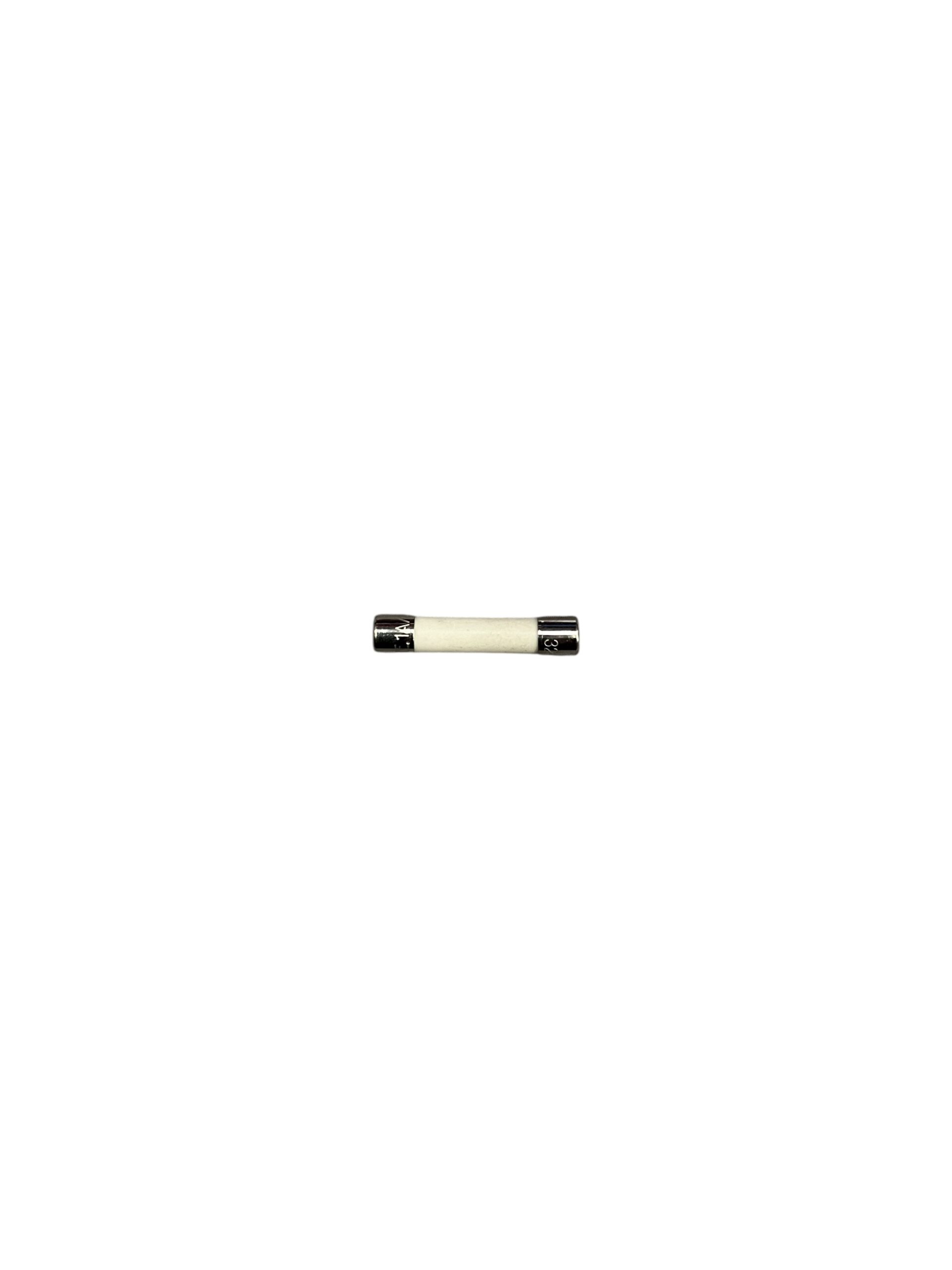 FUSE 1A T/L (F)  CERAMIC SSI