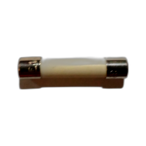 FUSE 1A T/L (F)  CERAMIC SSI