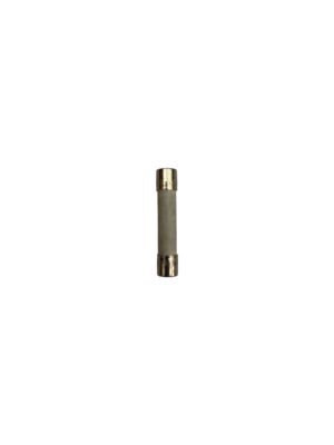 FUSE 10A T/L CERAMIC SSI (F)