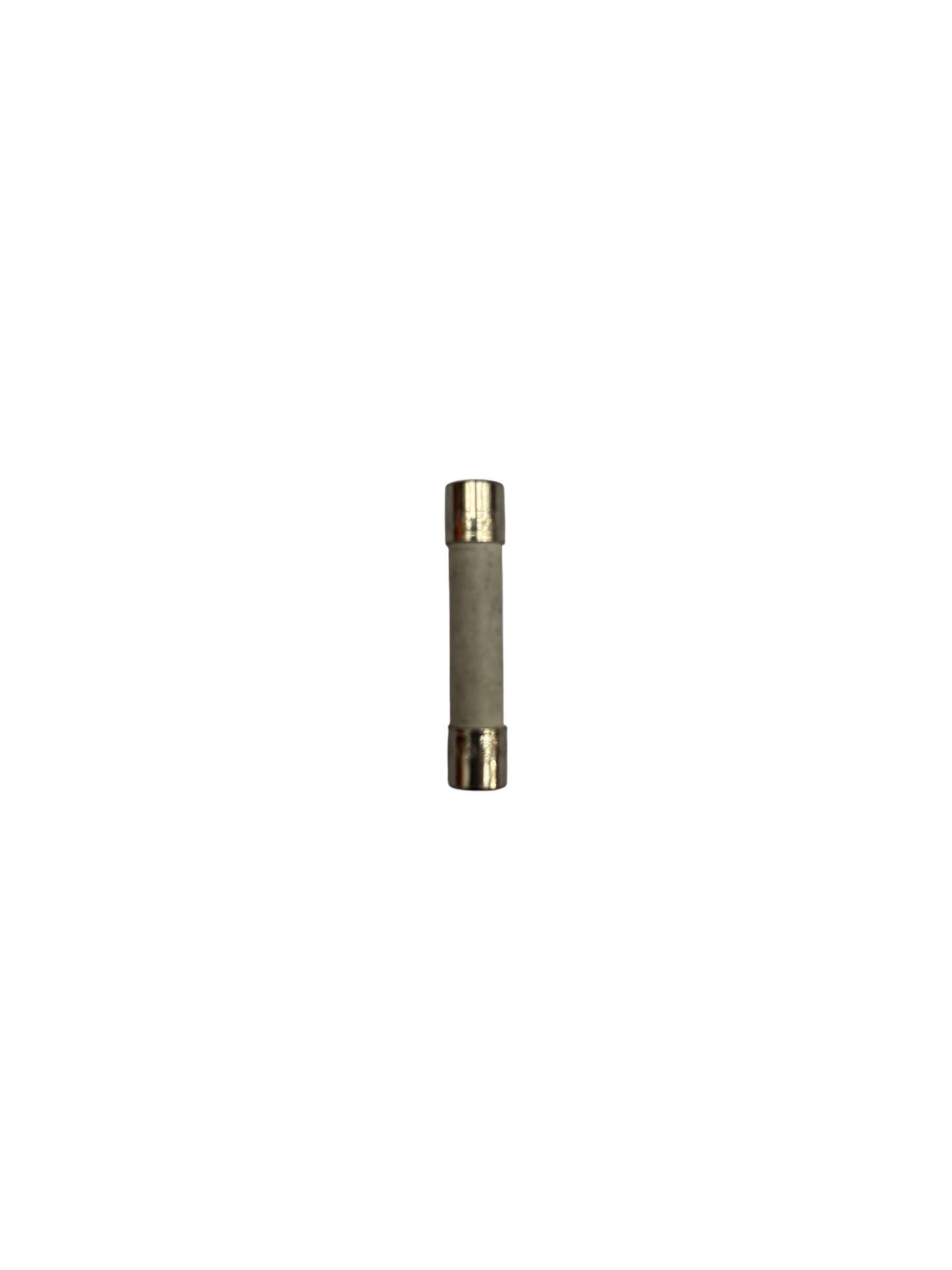 FUSE 10A T/L CERAMIC SSI (F)