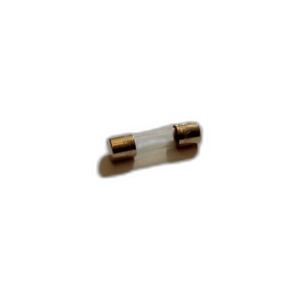 FUSE. 1A 250V QUICK ACTING. LOW BREAKING