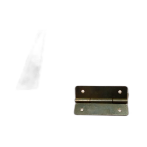 HINGE TOILET FLUSHING BUTTON