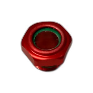 PLUG, OIL FILTER, IW