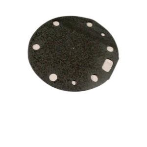 DIAPHRAGM