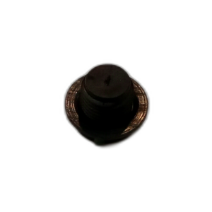 PLUG  PROTECTIVE