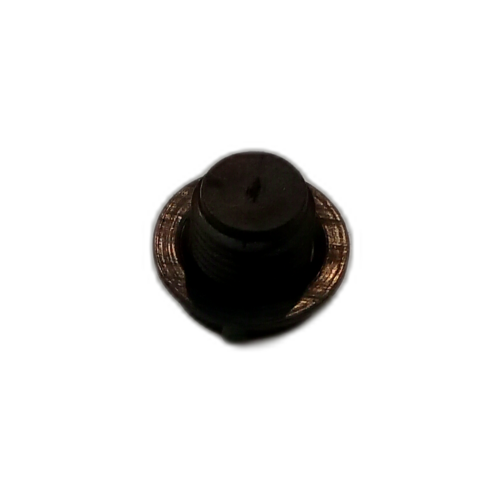 PLUG  PROTECTIVE