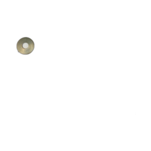 WASHER SPRING DISC