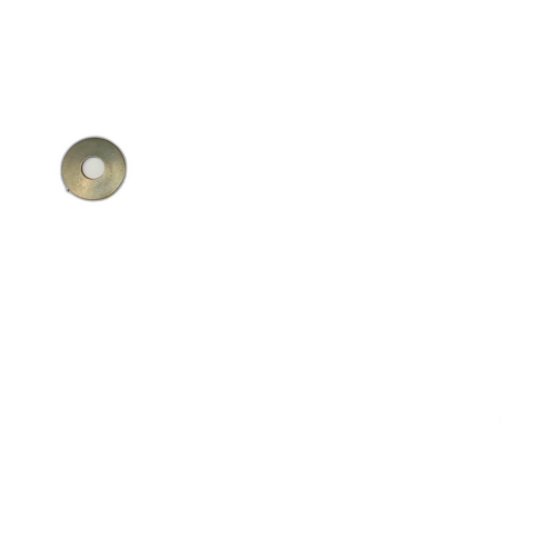 WASHER SPRING DISC