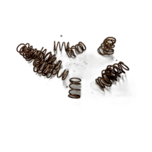 SPRING, DUMP VALVE