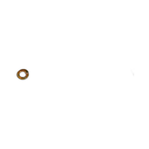 WASHER SPRING M10