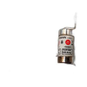 FUSE 100 AMP