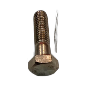 150/105/109 HEX HD S/S M12 X 45