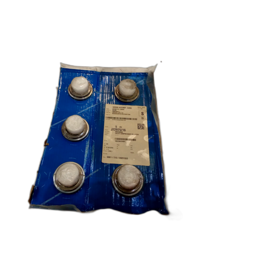 VALVE DELIVERY MAIN COMPRESSOR