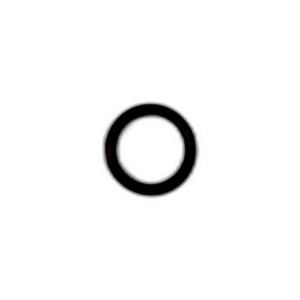 RING O FOR WATER HEATER FILTER HOUSING